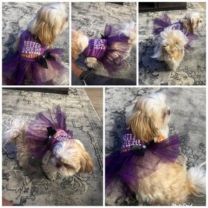Purple Dog Tutu Dress perfect for Halloween 
All sizes available